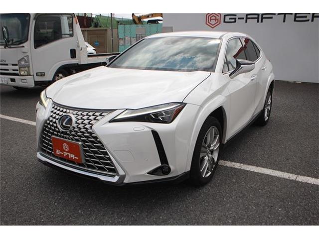 Lexus UX 10