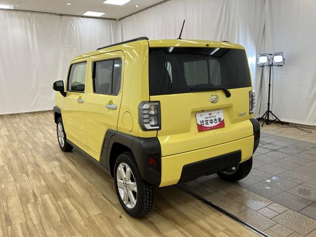 Daihatsu Taft 8