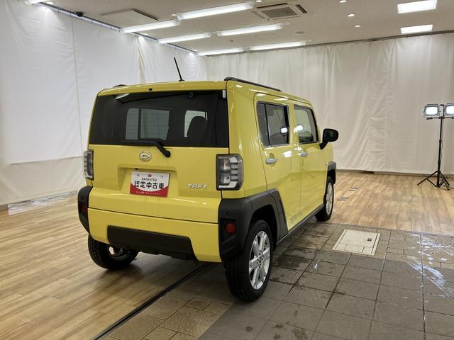 Daihatsu Taft 10