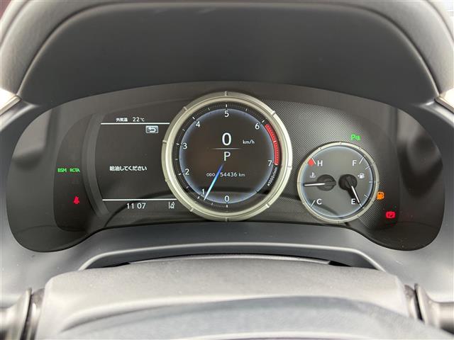 Lexus RX 11