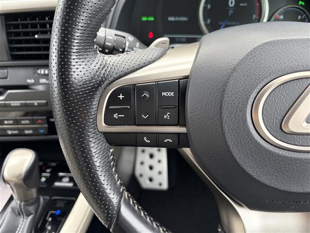 Lexus RX 12