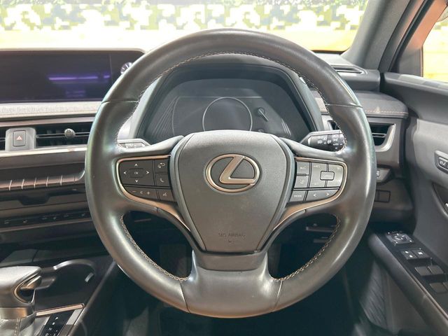 Lexus UX 11