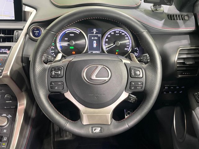 Lexus NX 11