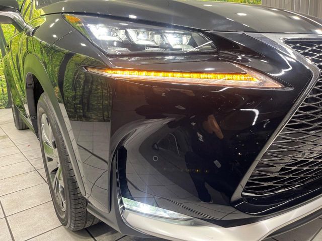 Lexus NX 12