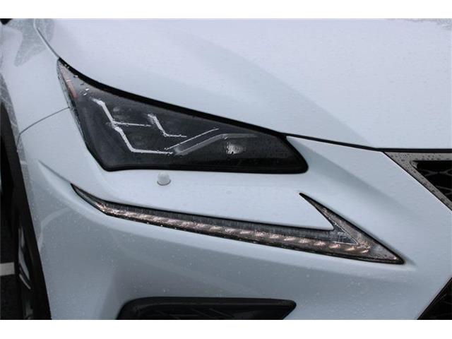 Lexus NX 12