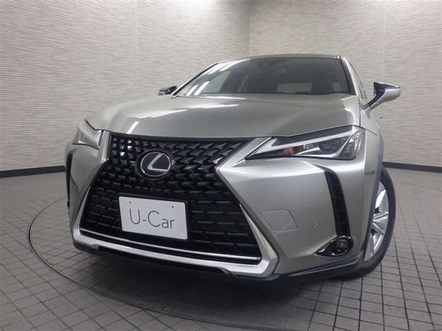 Lexus UX 6
