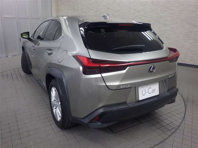 Lexus UX 9