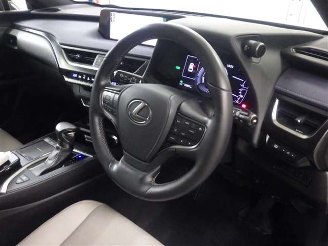 Lexus UX 10