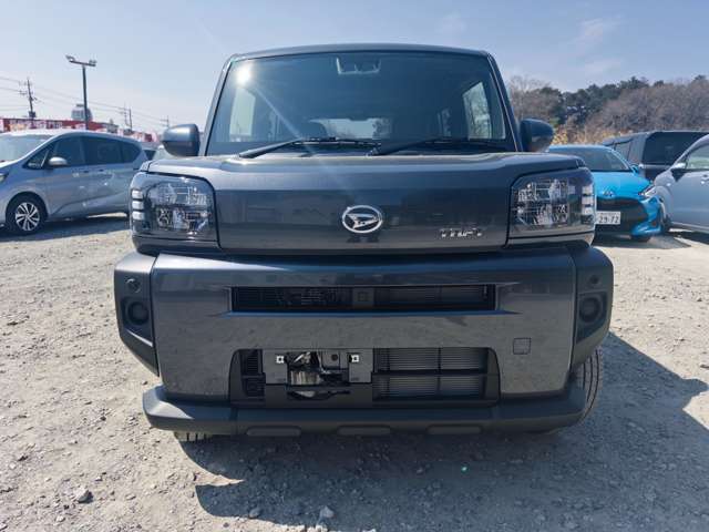 Daihatsu Taft 8