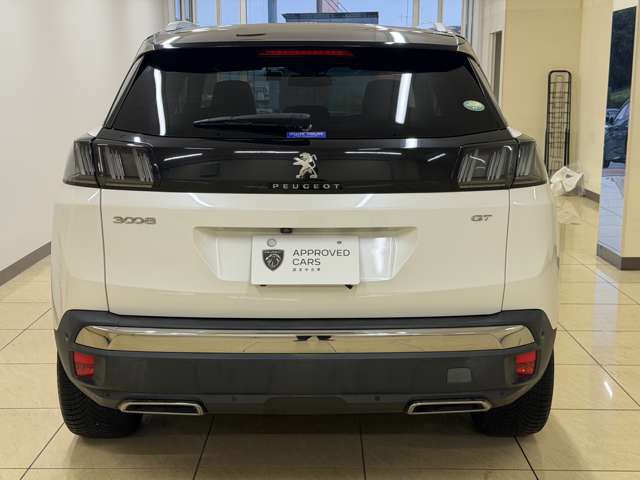Peugeot 3008 8