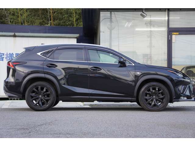 Lexus NX 4