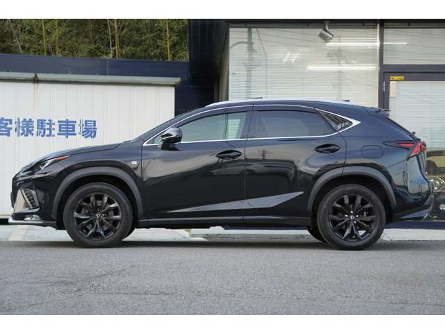 Lexus NX 5