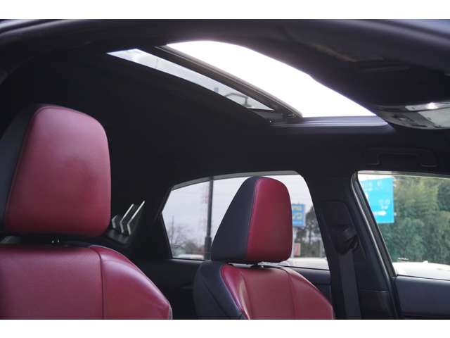 Lexus NX 10