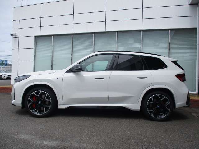 BMW X1 9