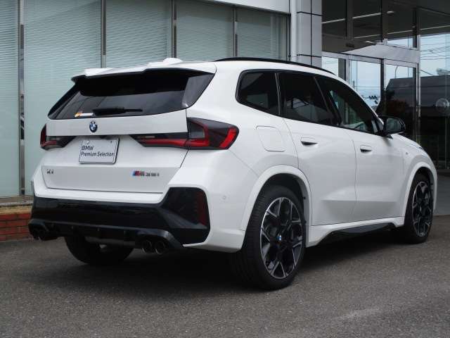 BMW X1 10