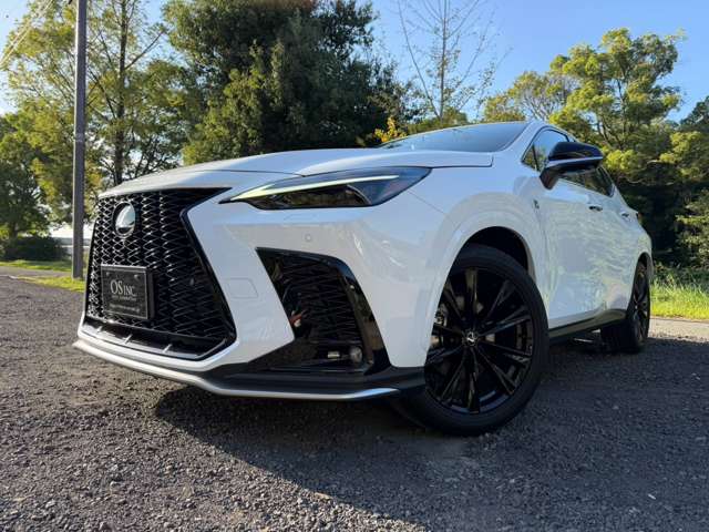 Lexus NX 10