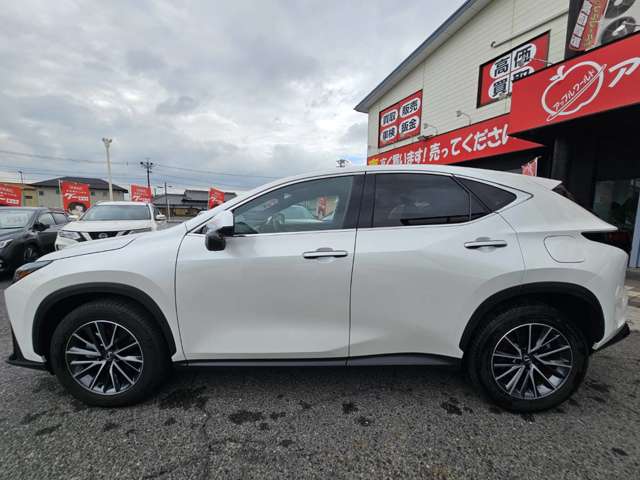Lexus NX 11