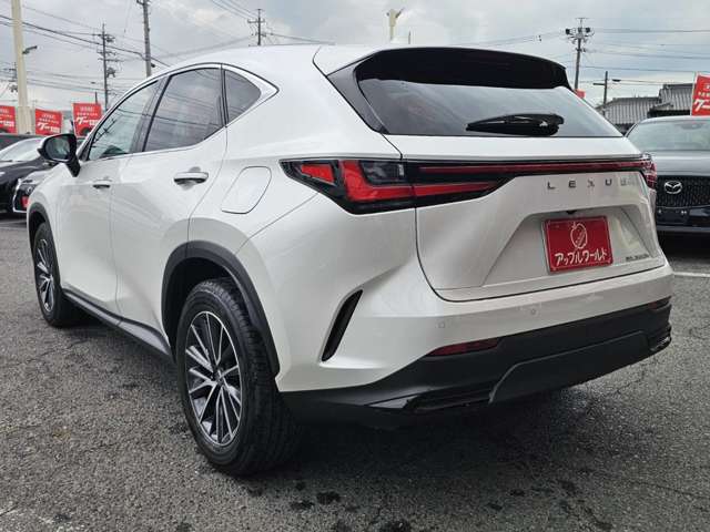 Lexus NX 12