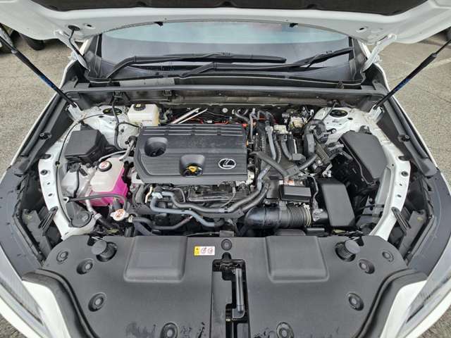 Lexus NX 6