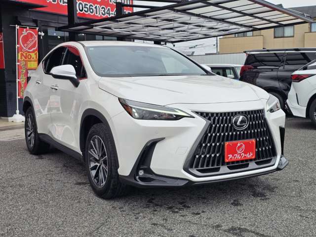 Lexus NX 8
