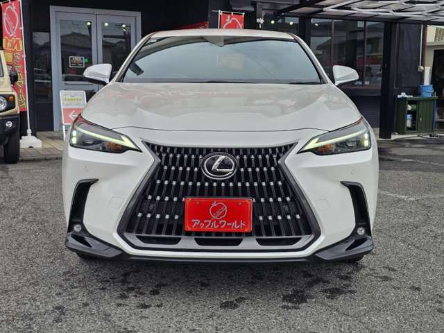 Lexus NX 9