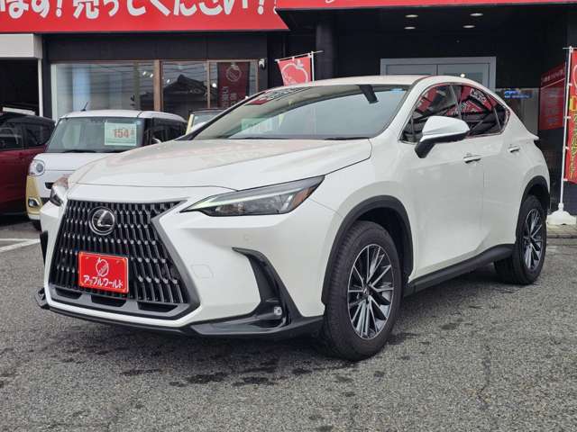 Lexus NX 10