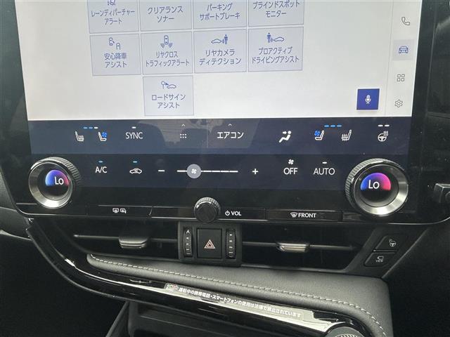 Lexus NX 11