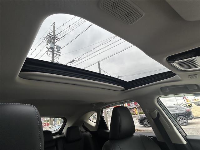 Lexus NX 6