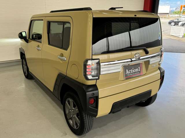 Daihatsu Taft 8