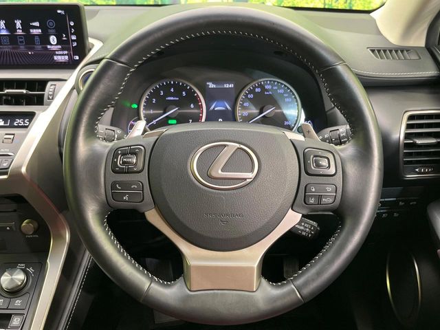 Lexus NX 11