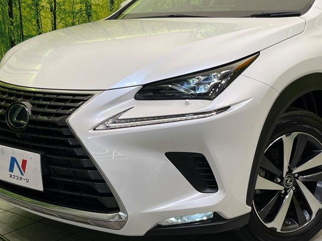 Lexus NX 12