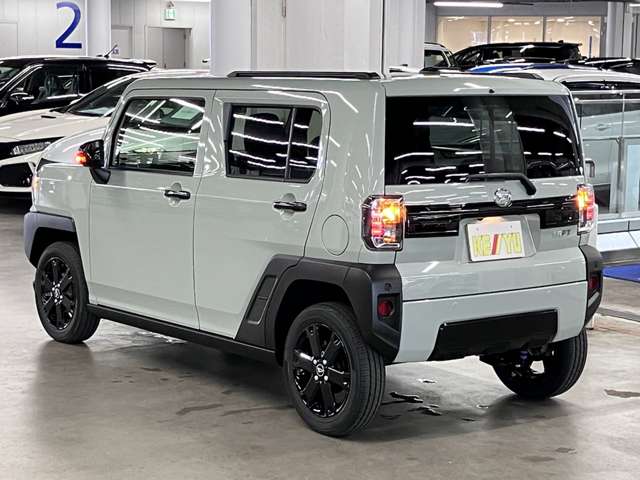 Daihatsu Taft 11