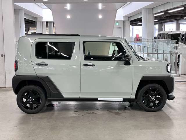 Daihatsu Taft 12