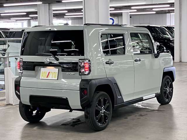 Daihatsu Taft 6