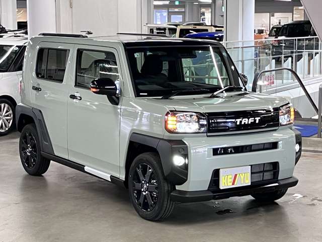 Daihatsu Taft 8