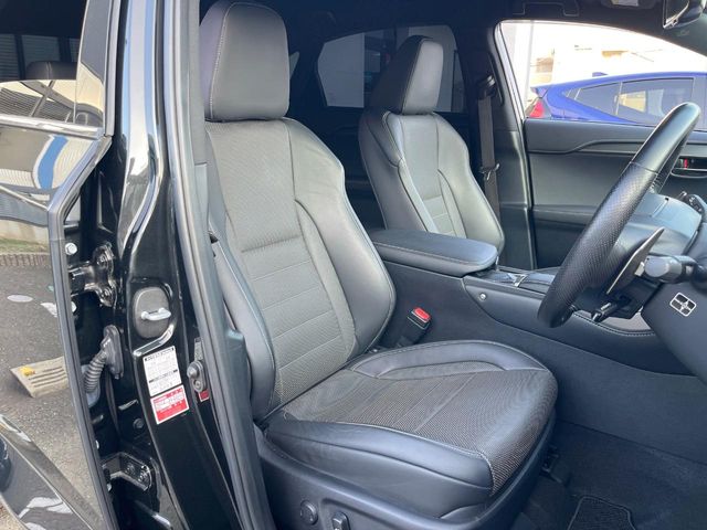 Lexus NX 12