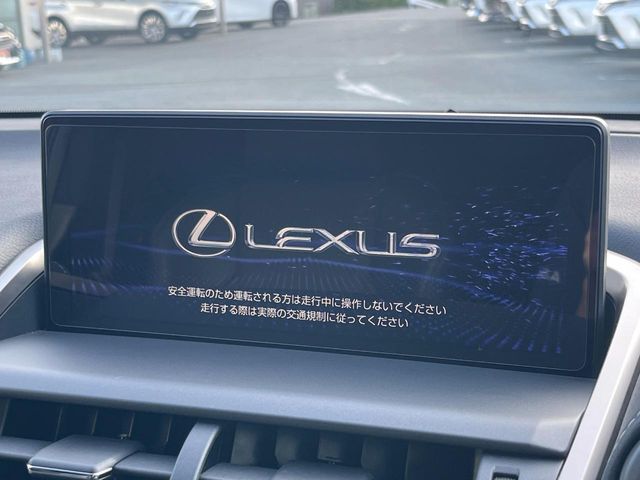 Lexus NX 4
