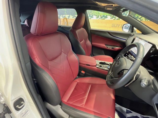Lexus NX 10