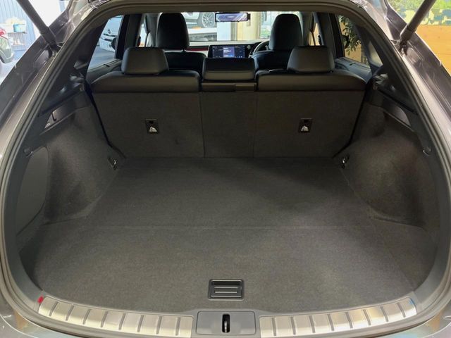 Lexus RX 11