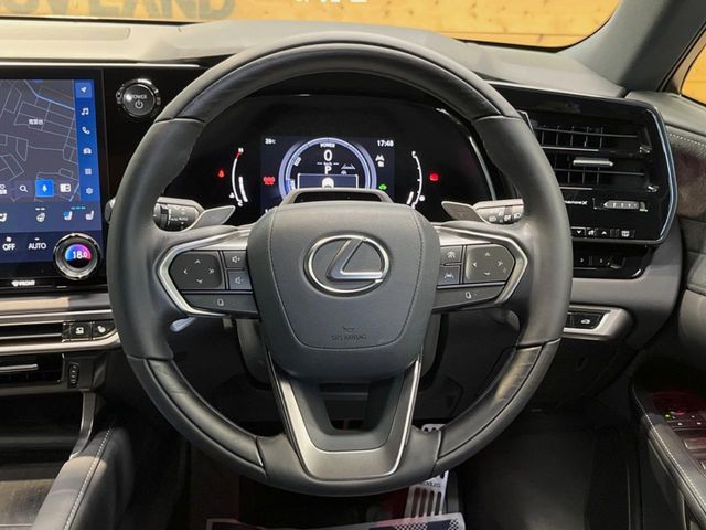 Lexus RX 12