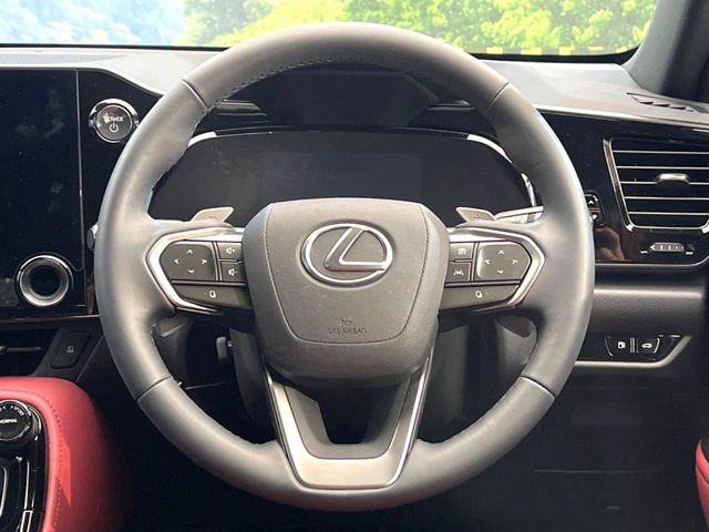 Lexus NX 11