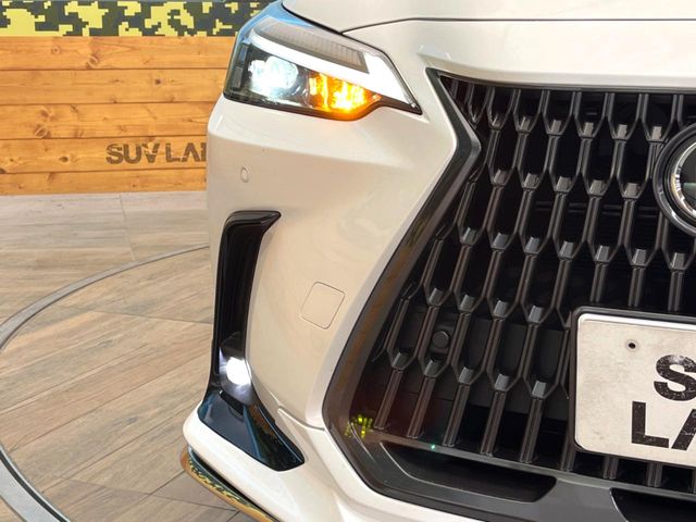 Lexus NX 12
