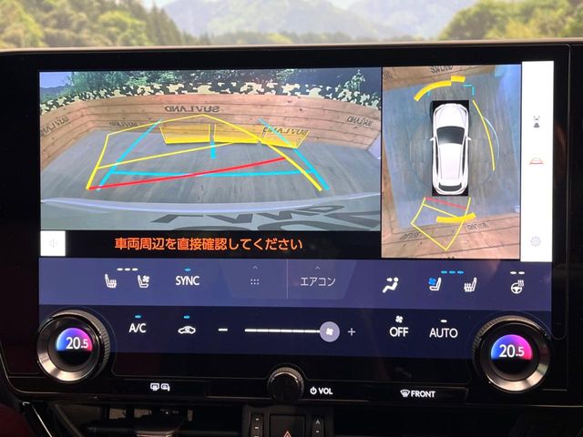 Lexus NX 4