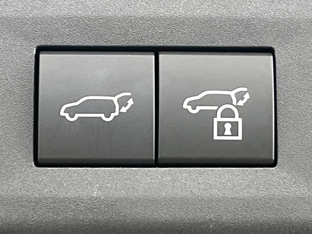 Lexus NX 6