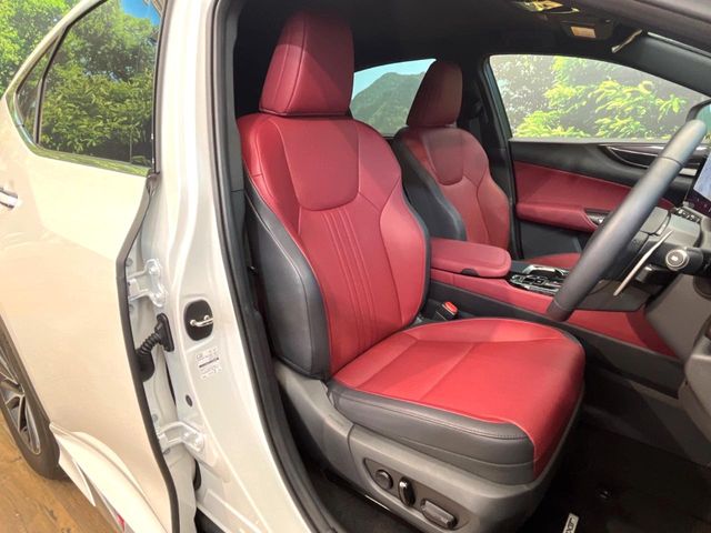 Lexus NX 8