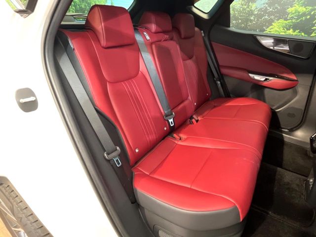 Lexus NX 9