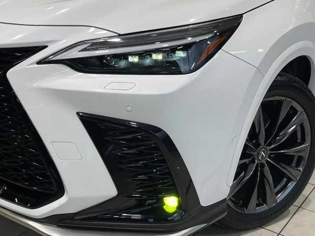 Lexus NX 12