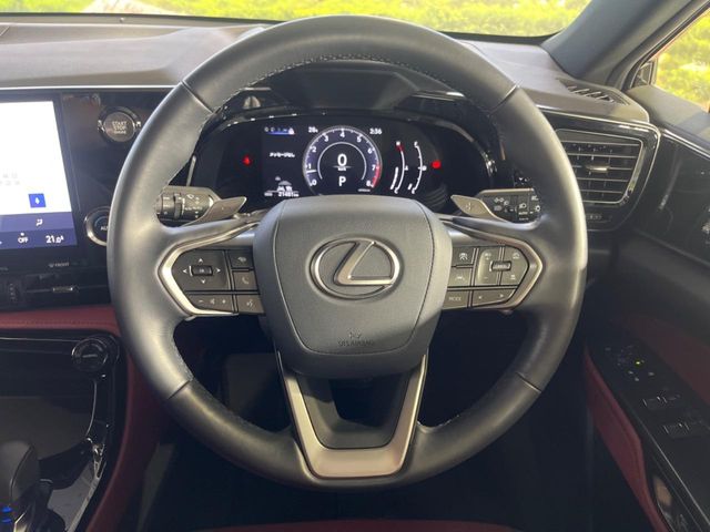 Lexus NX 11
