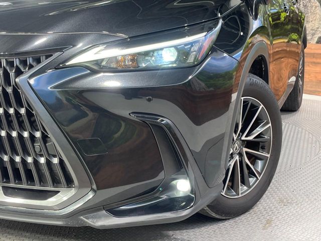 Lexus NX 12