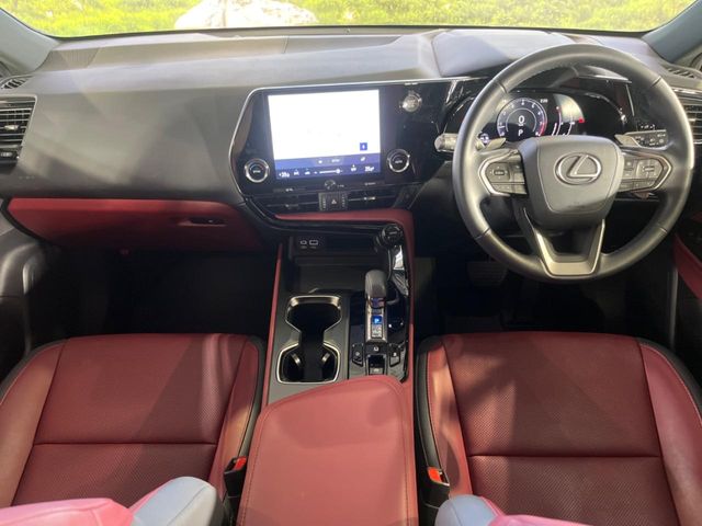 Lexus NX 3